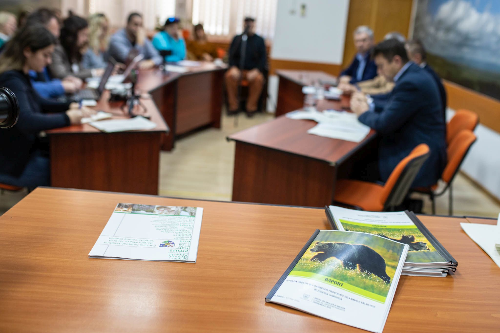 Petíciót indítottak az elszaporodott medvetámadások miatt - Közös fronton Hargita, Maros, Kovászna és Brassó megye