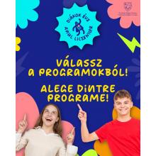 Oferta de programe în cadrul Anul Liceenilor